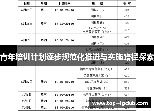 青年培训计划逐步规范化推进与实施路径探索