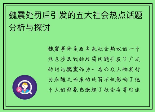 魏震处罚后引发的五大社会热点话题分析与探讨