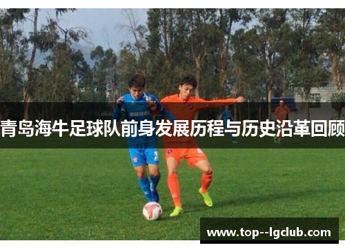 青岛海牛足球队前身发展历程与历史沿革回顾 青岛海牛足球队前身发展历程与历史沿革回顾