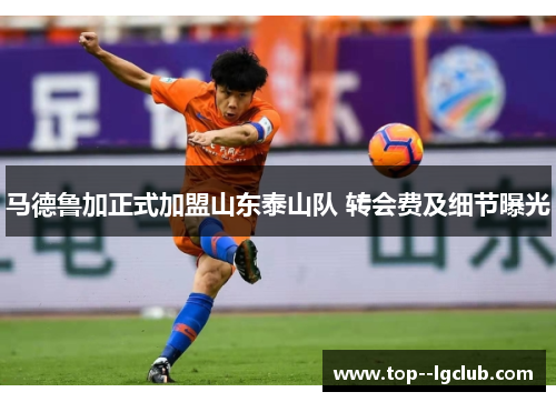 马德鲁加正式加盟山东泰山队 转会费及细节曝光